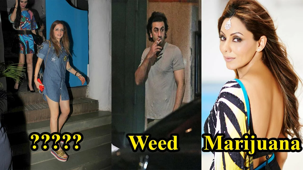 Have You Ever Wondered Which Drug Bollywood Celebs Took? And Some Of Them Have Confessed!