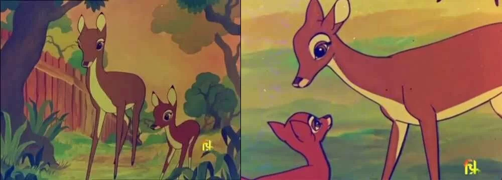 Start And Evolution Of Indian Animation